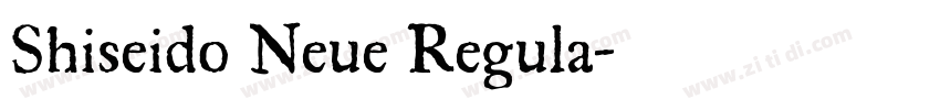 Shiseido Neue Regula字体转换 Shiseido Neue Regula字体转换